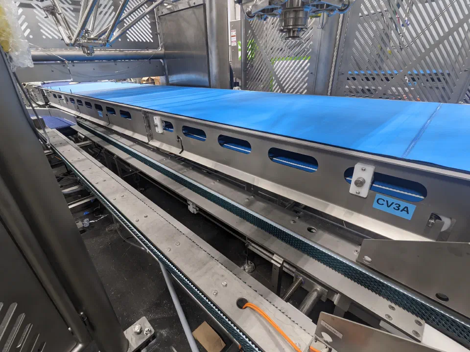 The case conveyor with the robot's vacuum tooling above it