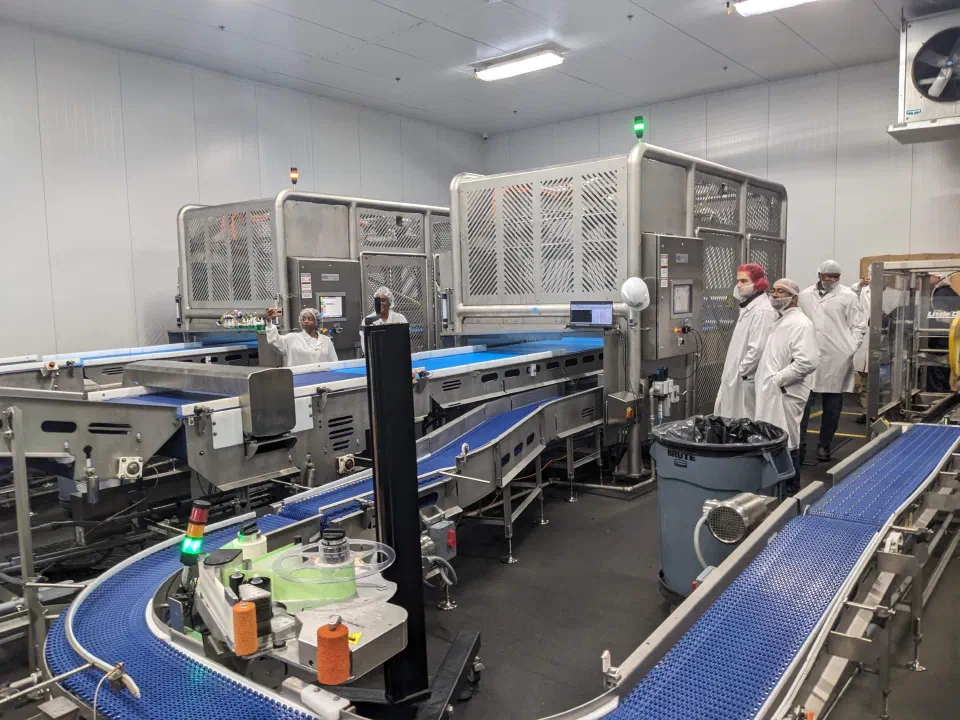 The installed system in the plant's refrigerated packaging room during commissioning