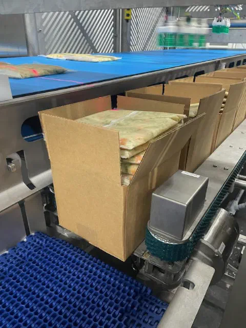 The robot loading bags into a case during a service visit