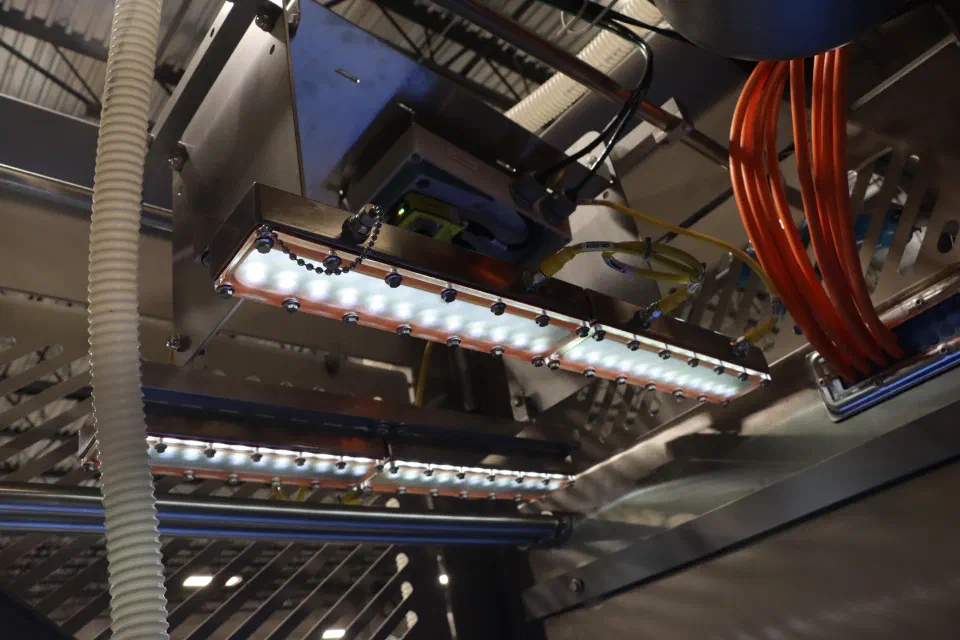 The lighting and vision bar above the conveyor
