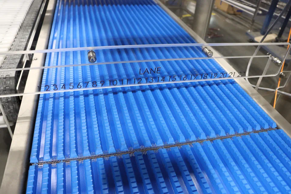 The laned product conveyor on the transfer cell